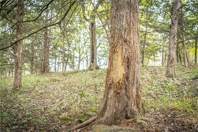 $475,000 | 863 25th Road, Longton, KS 67352