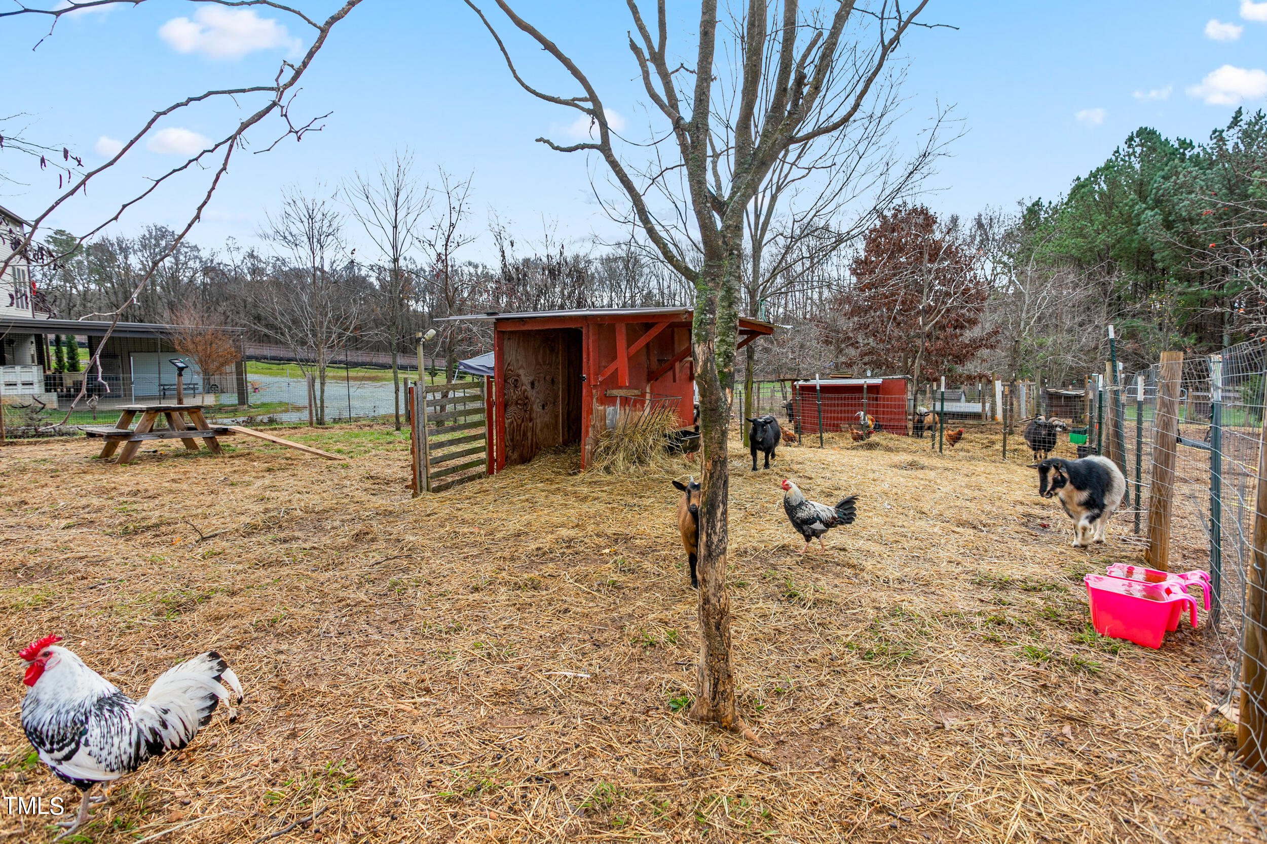 1208 Bowers Store Road Siler City, NC 27344 - Photo 24 of 27 1208 Bowers Store Road-35