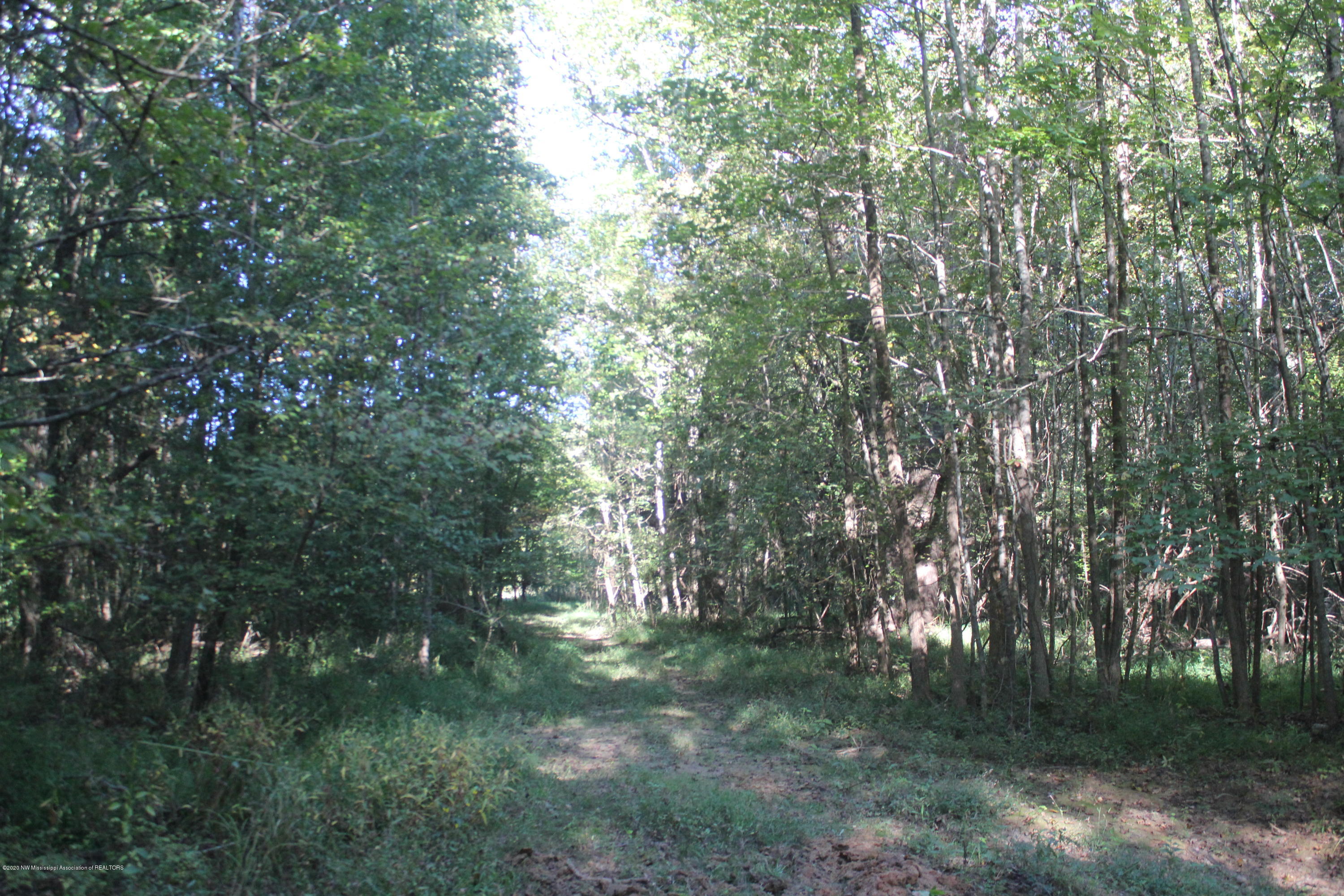 1346 Wildcat Bottom Road Red Banks, MS 38661 - Photo 13 of 16 IMG_4998
