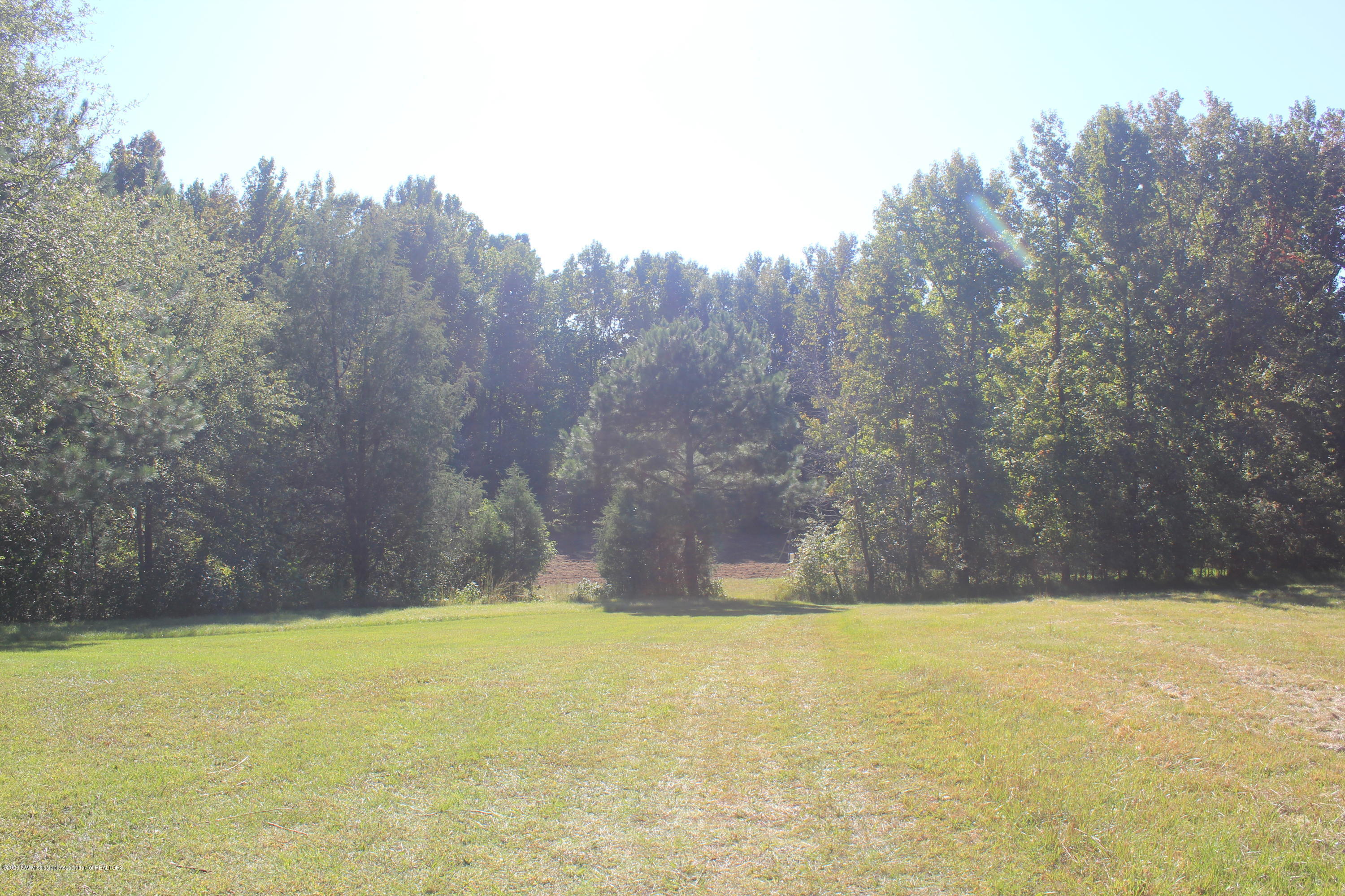 1346 Wildcat Bottom Road Red Banks, MS 38661 - Photo 3 of 16 IMG_4920