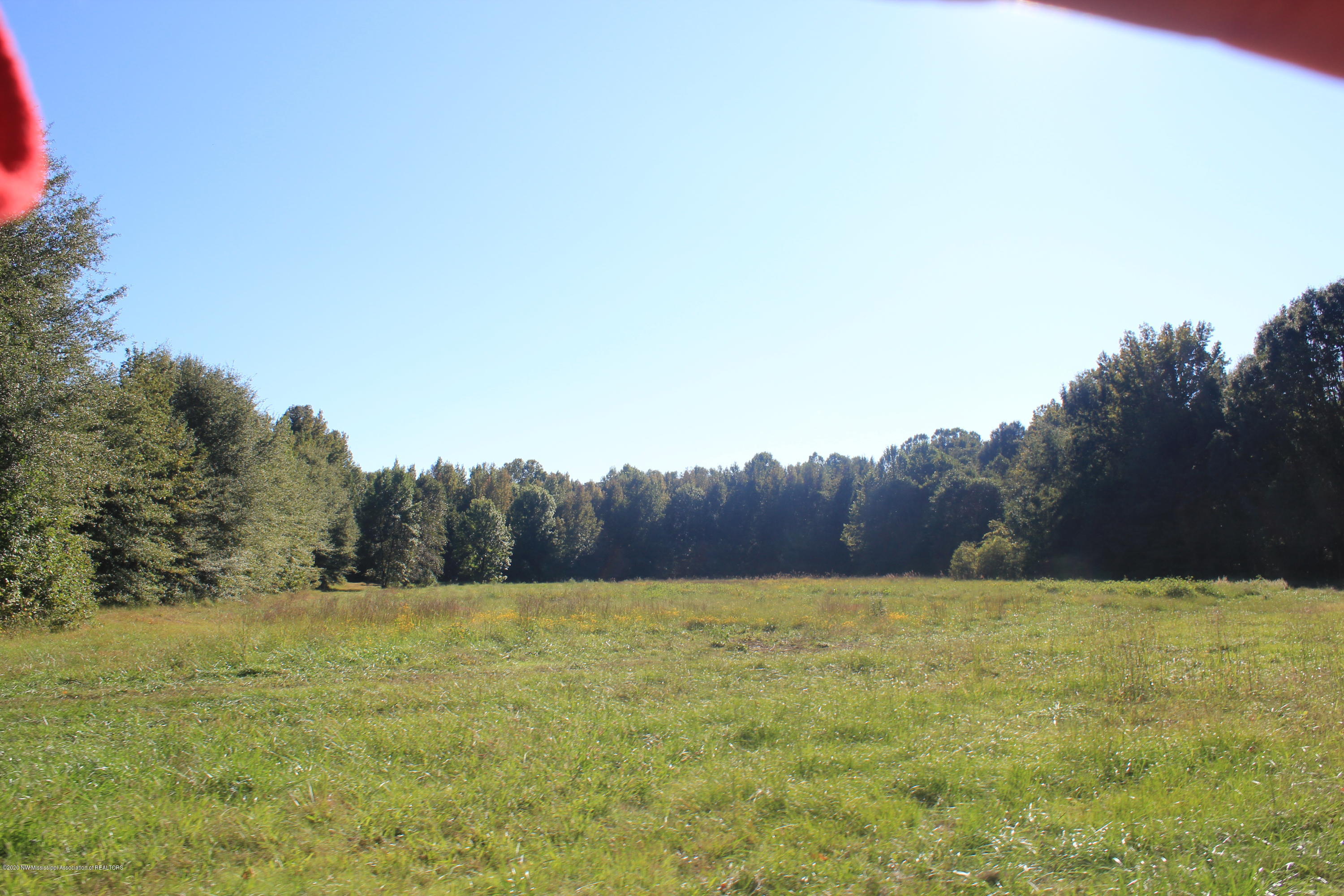 1346 Wildcat Bottom Road Red Banks, MS 38661 - Photo 5 of 16 IMG_4970