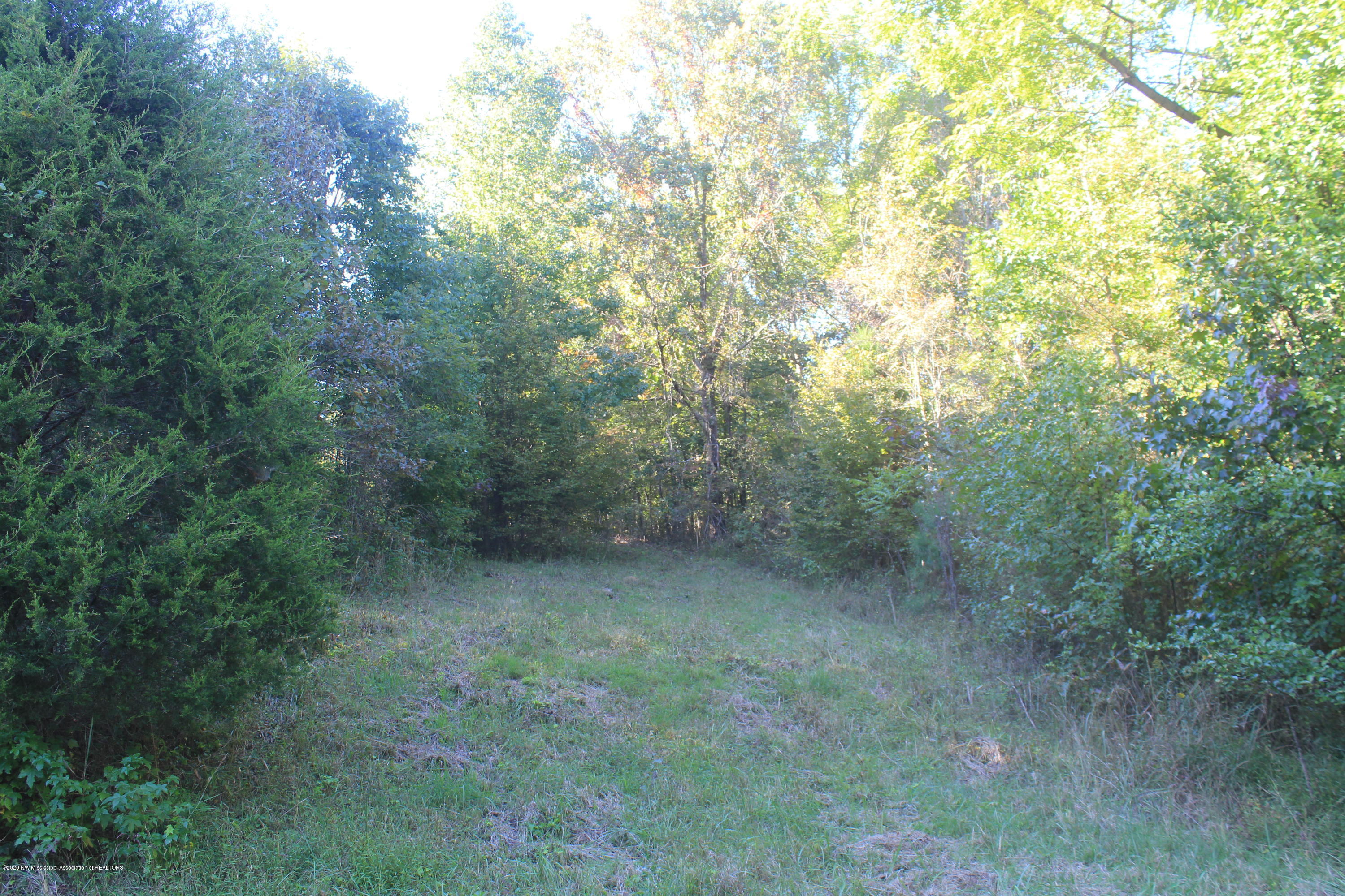 1346 Wildcat Bottom Road Red Banks, MS 38661 - Photo 7 of 16 IMG_4984