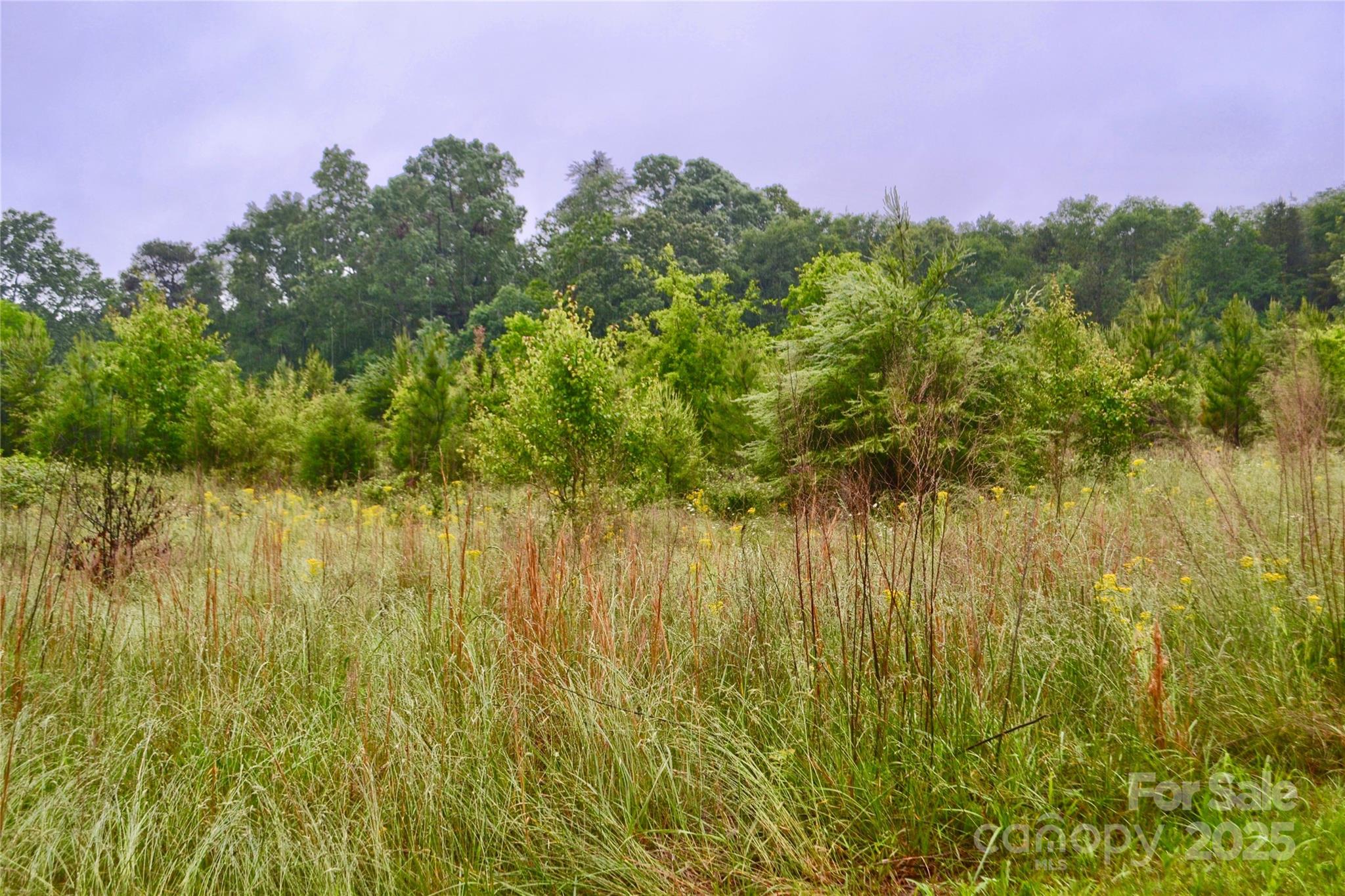 0 Chase High Road Forest City, NC 28043 - Photo 1 of 6 Gallery Image 1
