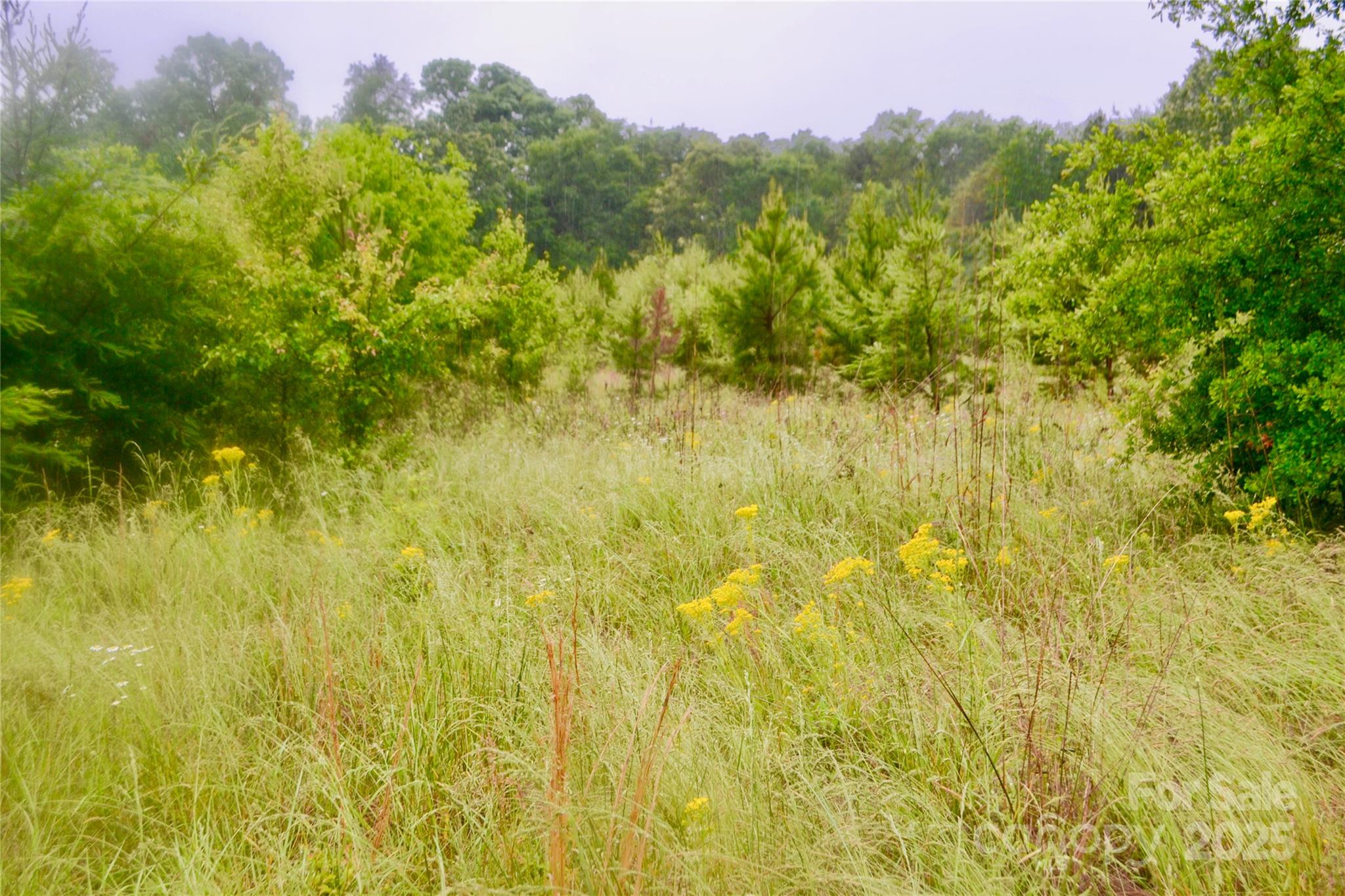 0 Chase High Road Forest City, NC 28043 - Photo 2 of 6 Gallery Image 2