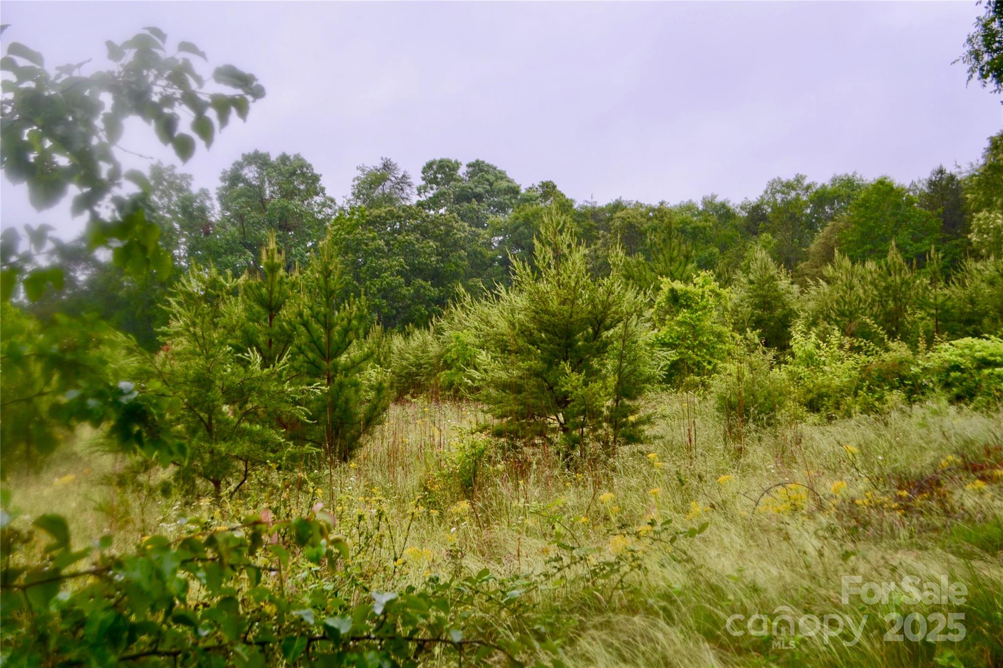 0 Chase High Road Forest City, NC 28043 - Photo 3 of 6 Gallery Image 3