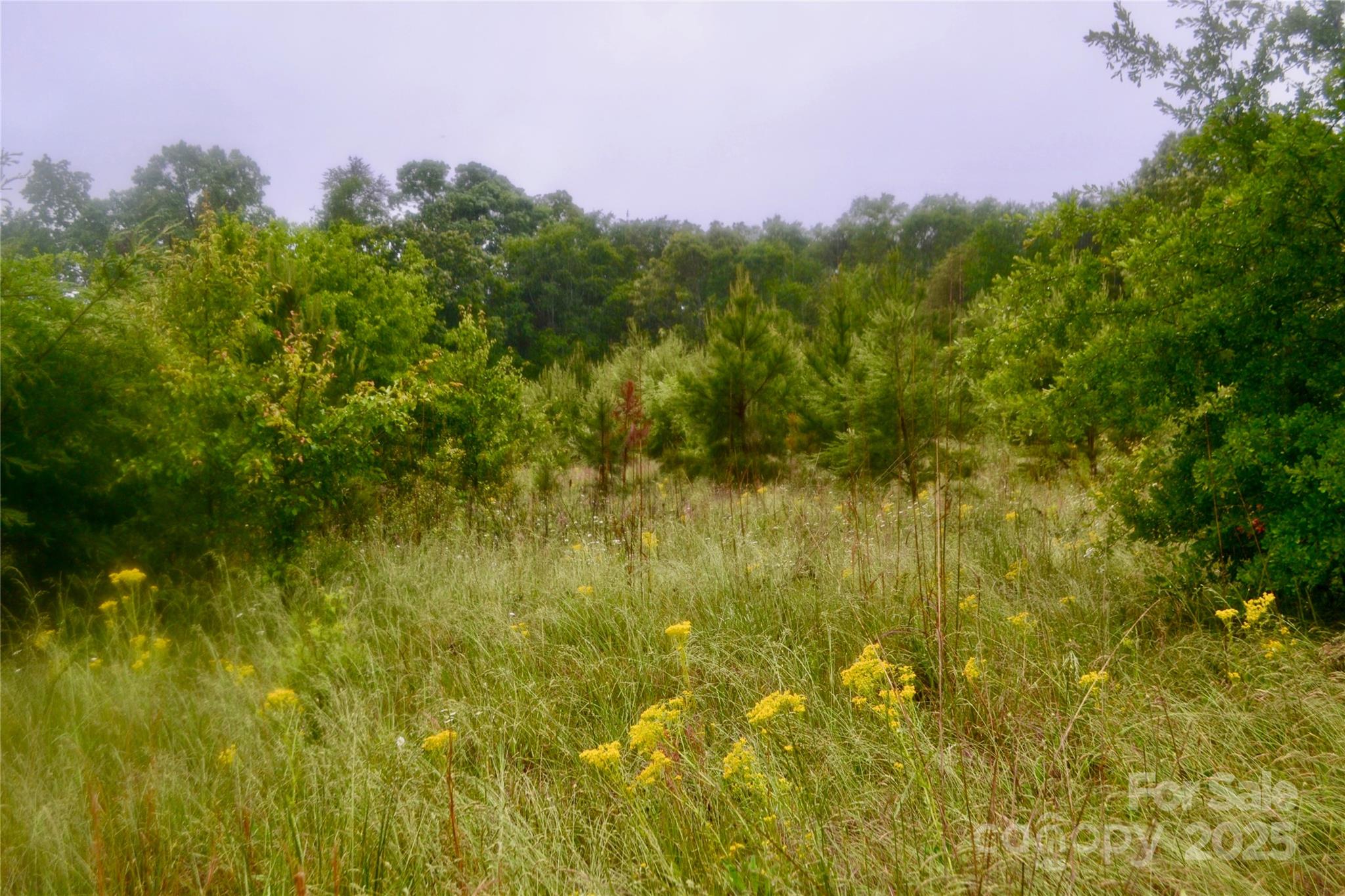 0 Chase High Road Forest City, NC 28043 - Photo 5 of 6 Gallery Image 5