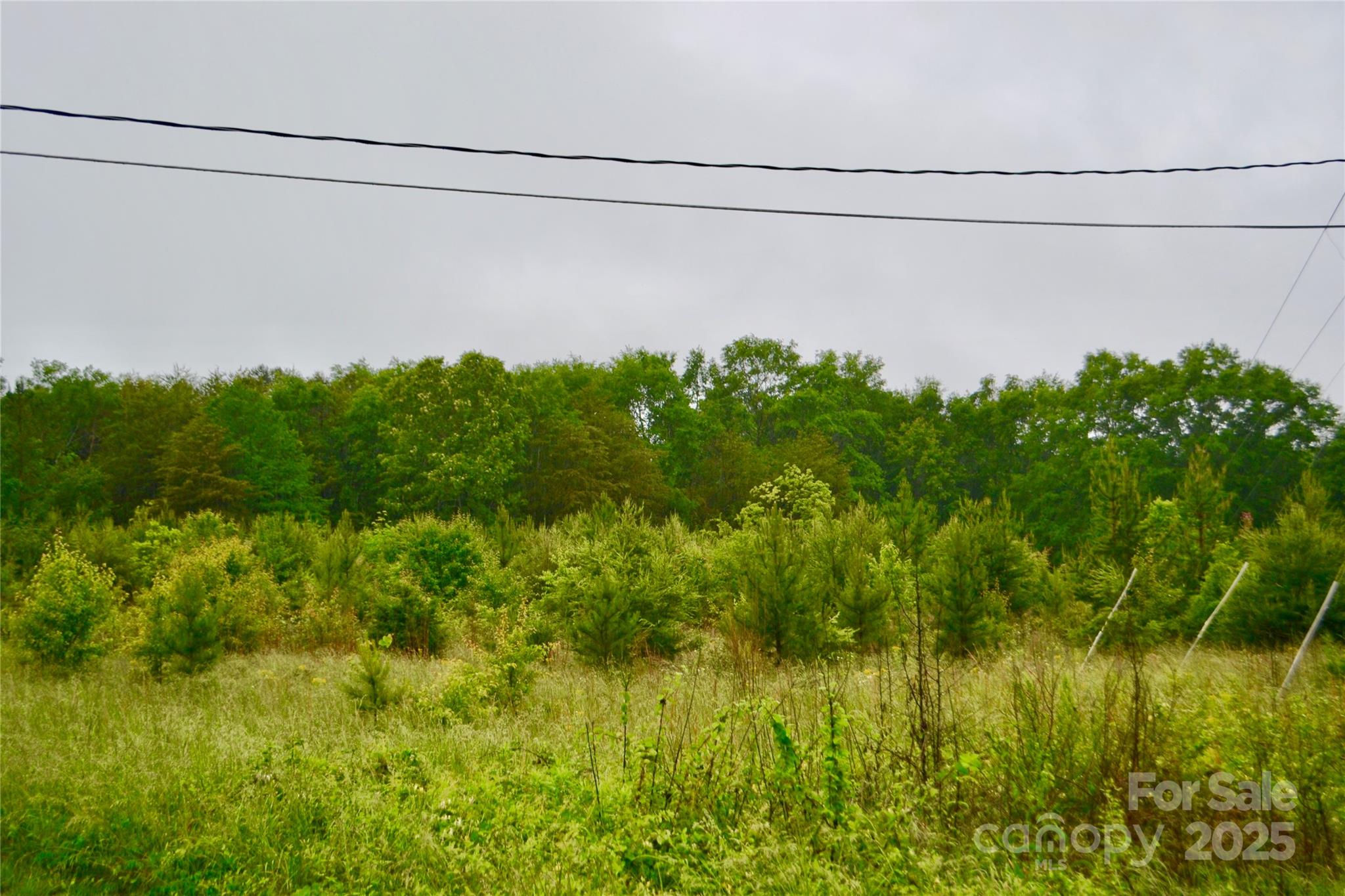 0 Chase High Road Forest City, NC 28043 - Photo 6 of 6 Gallery Image 6