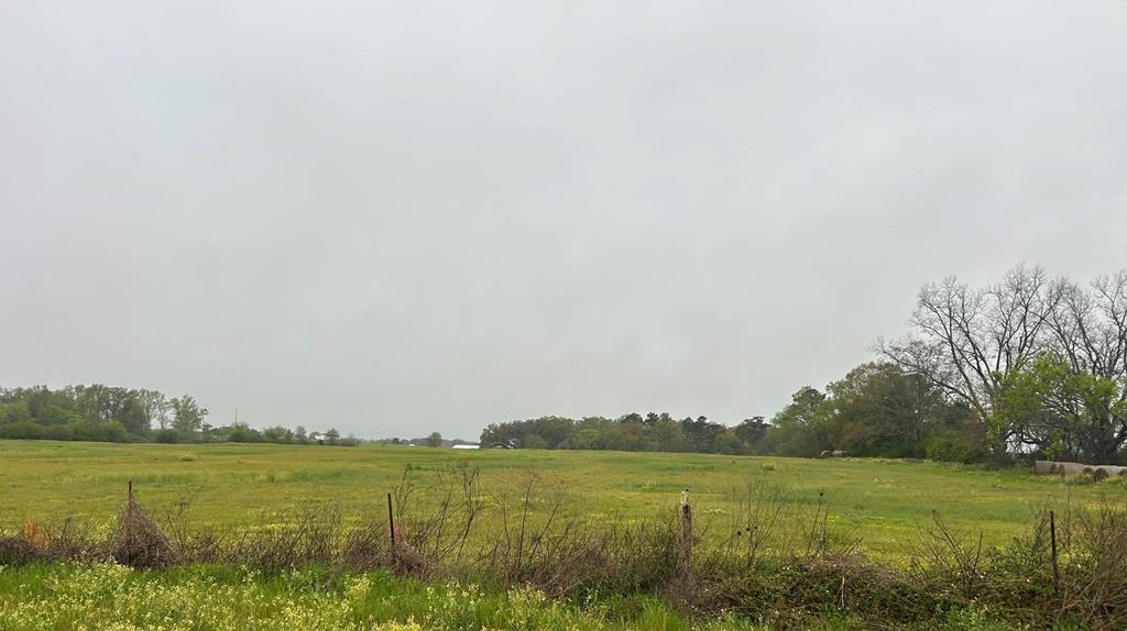 0 Cedar Springs Road Ashford, AL 36312 - Photo 7 of 7