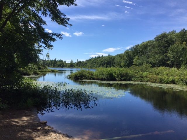 3 York Pond Road York, ME 03909 - Photo 20 of 20