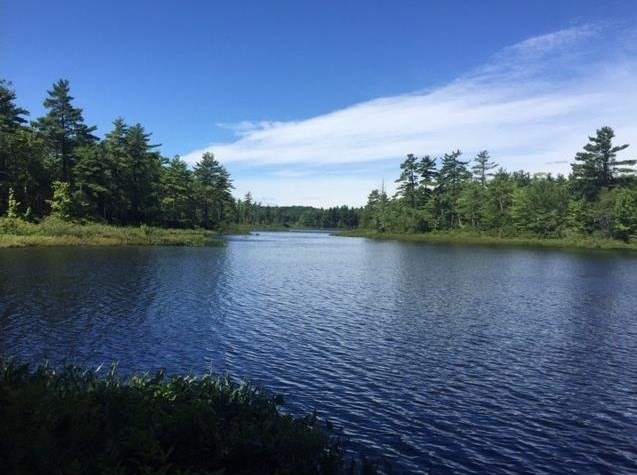 3 York Pond Road York, ME 03909 - Photo 4 of 20
