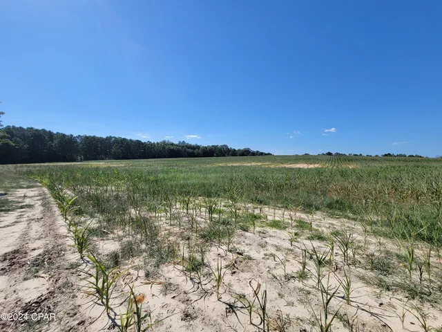 $120,000 | Lot 4 Bradley Road, Westville, FL 32464