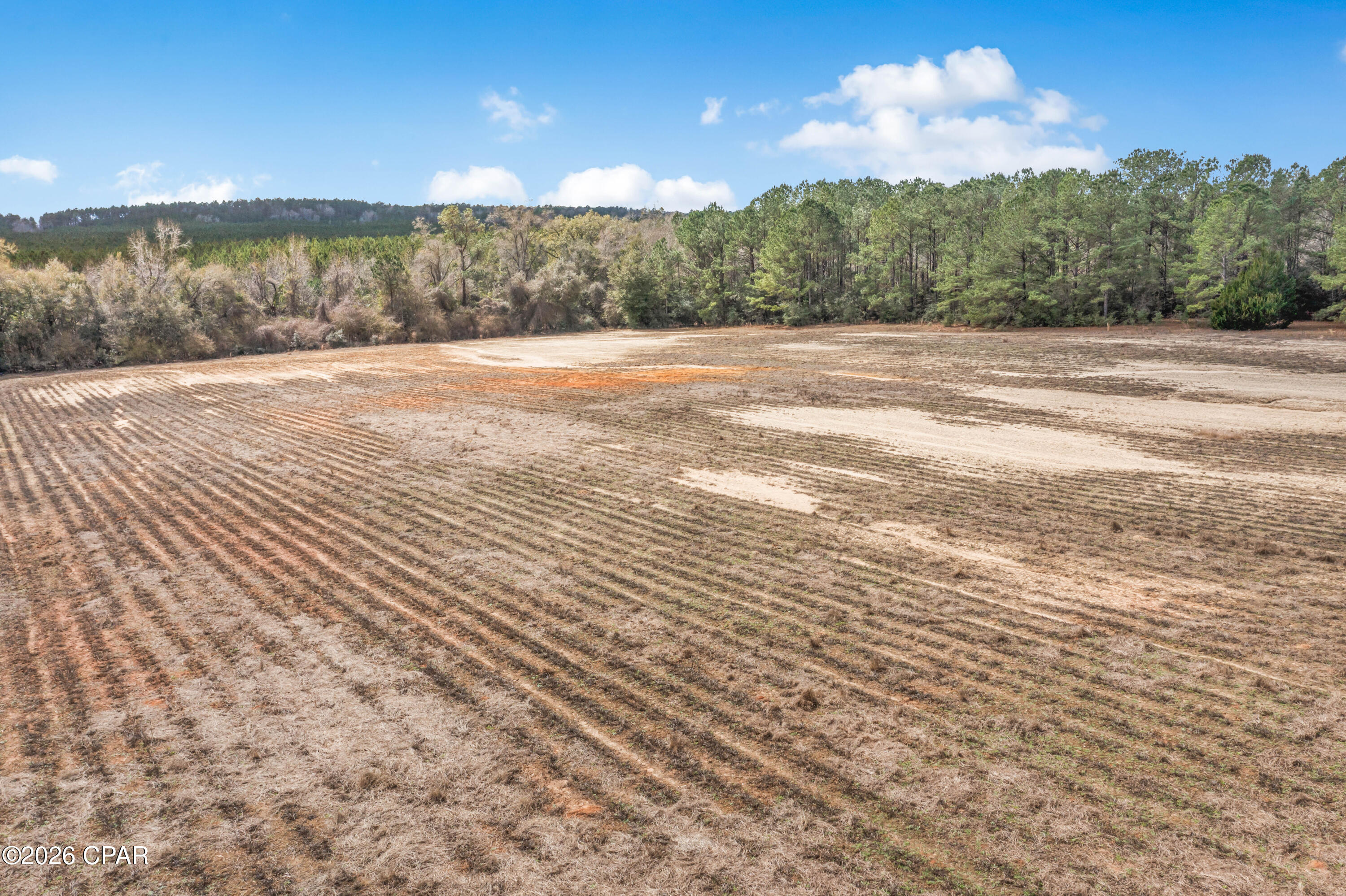 Lot 4 Bradley Road Westville, FL 32464 - Photo 2 of 14