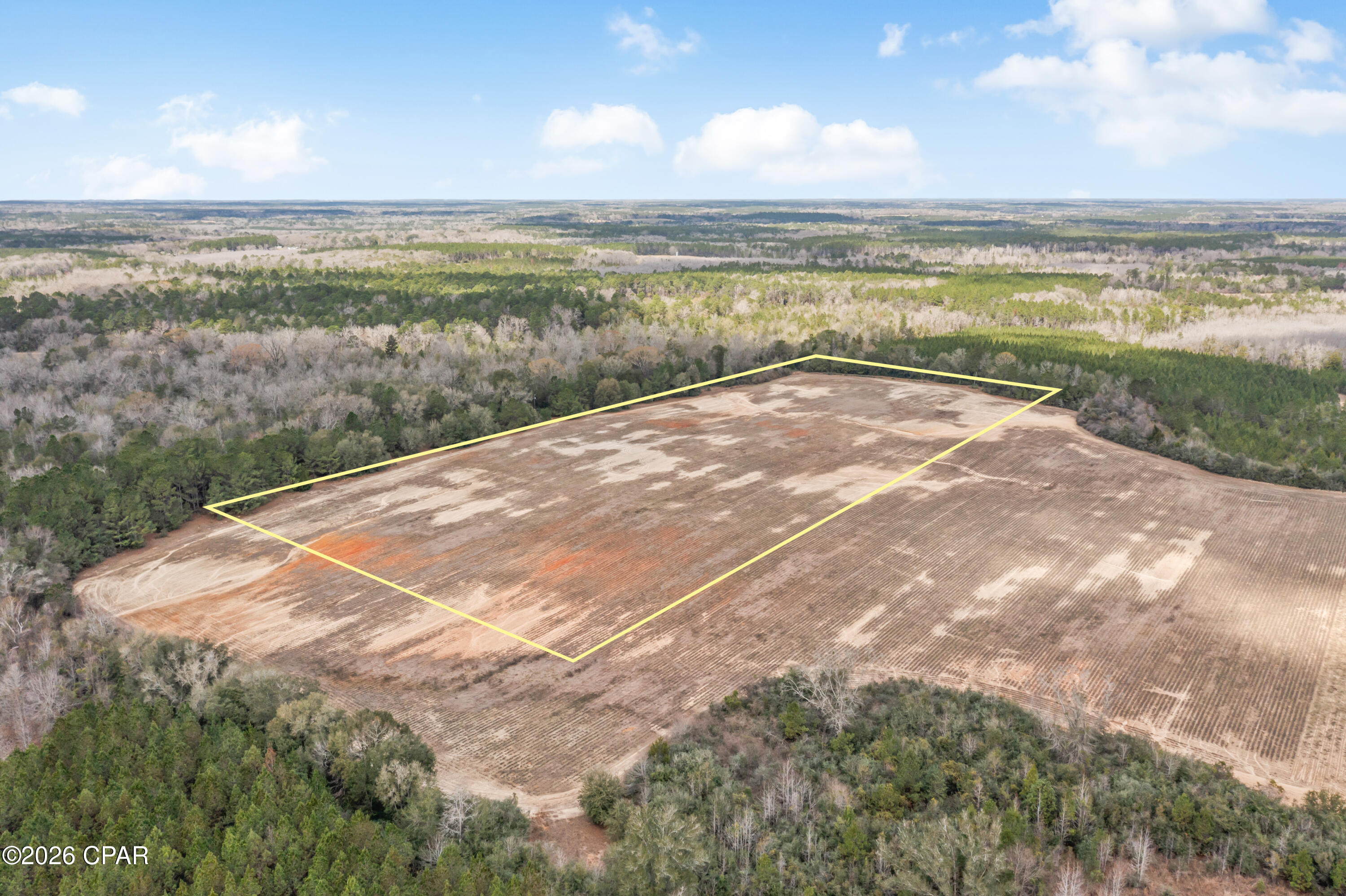 Lot 4 Bradley Road Westville, FL 32464 - Photo 4 of 14