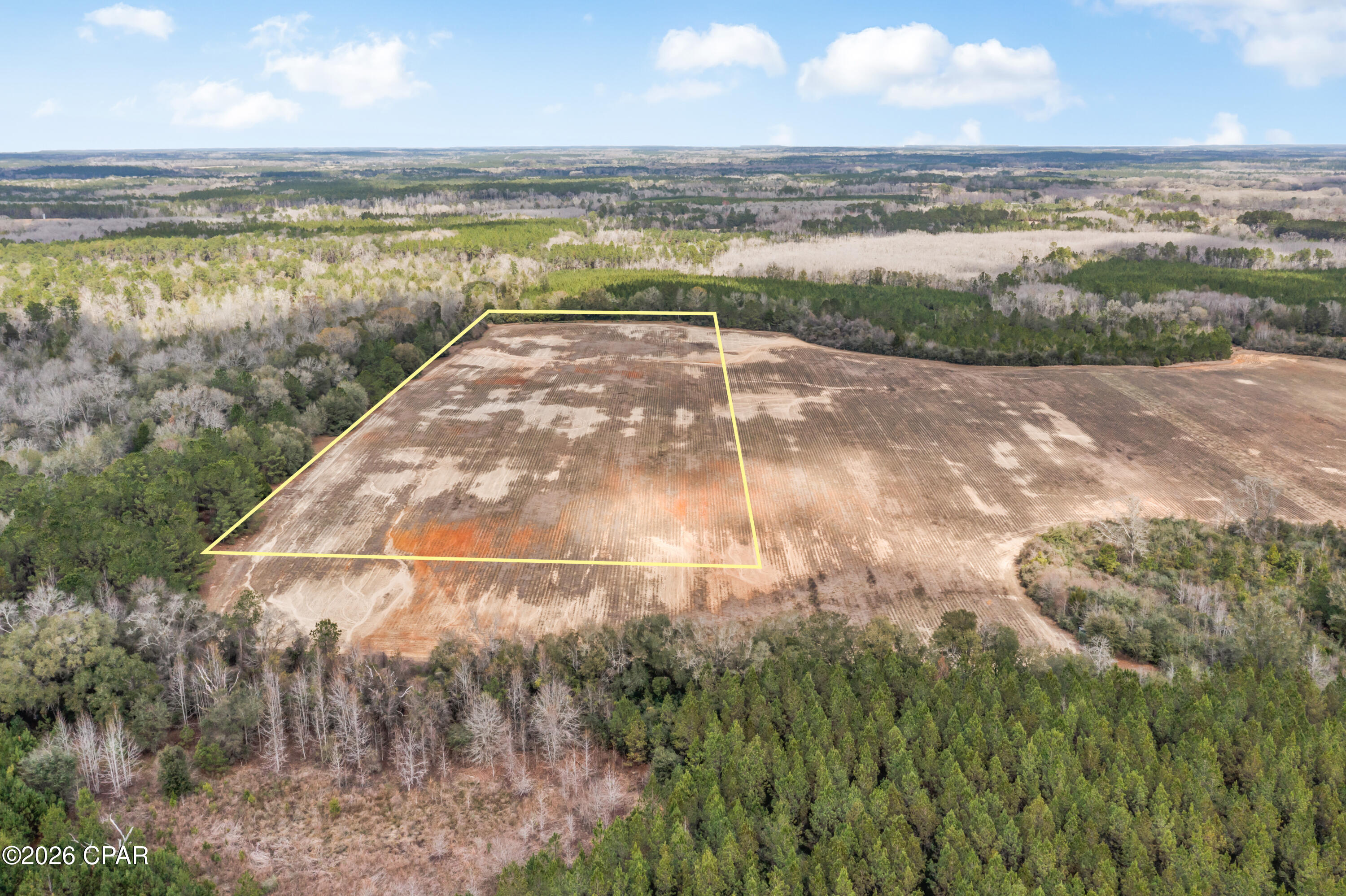 Lot 4 Bradley Road Westville, FL 32464 - Photo 5 of 14