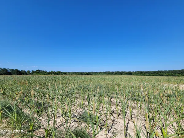 $120,000 | Lot 4 Bradley Road, Westville, FL 32464