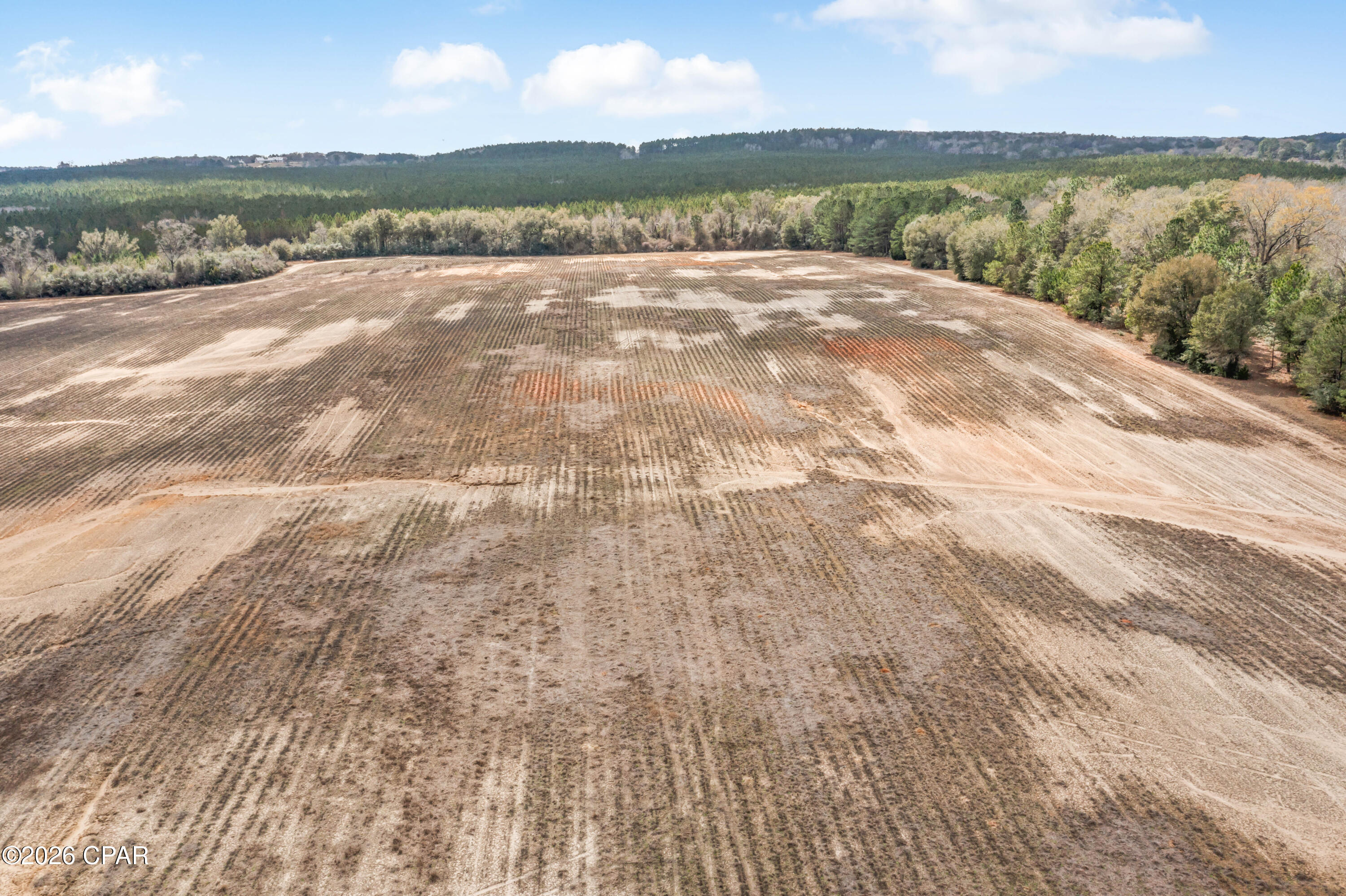 Lot 4 Bradley Road Westville, FL 32464 - Photo 10 of 14