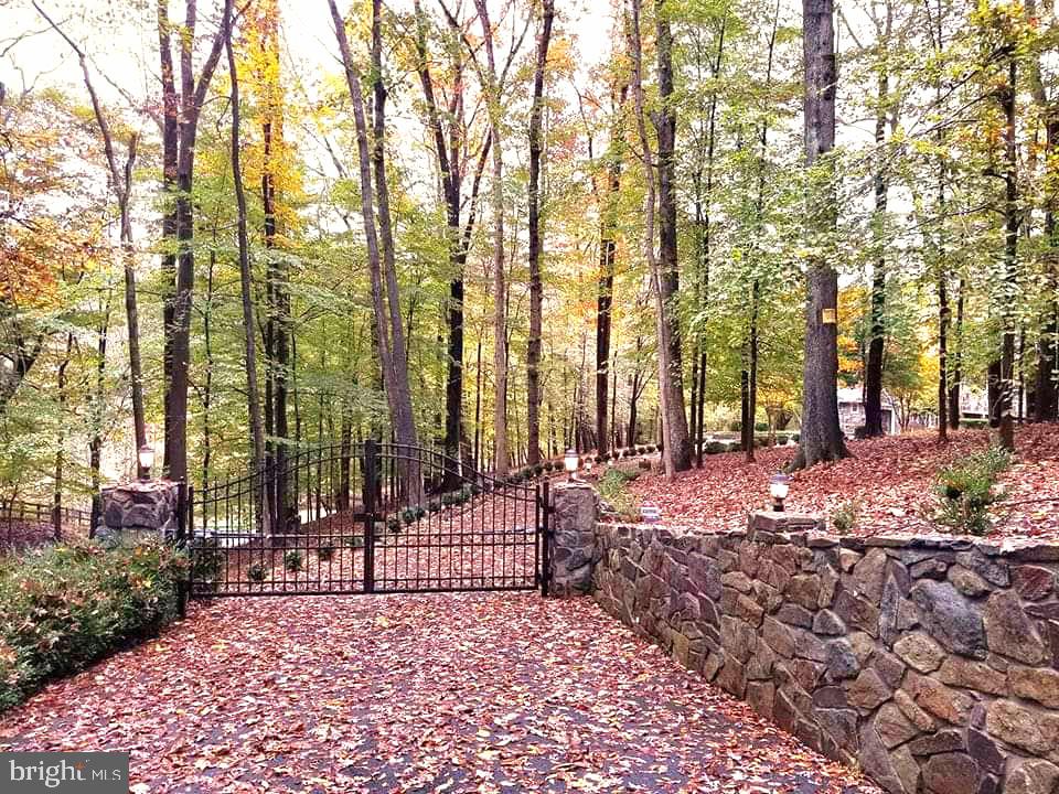 a view of a pathway with a garden