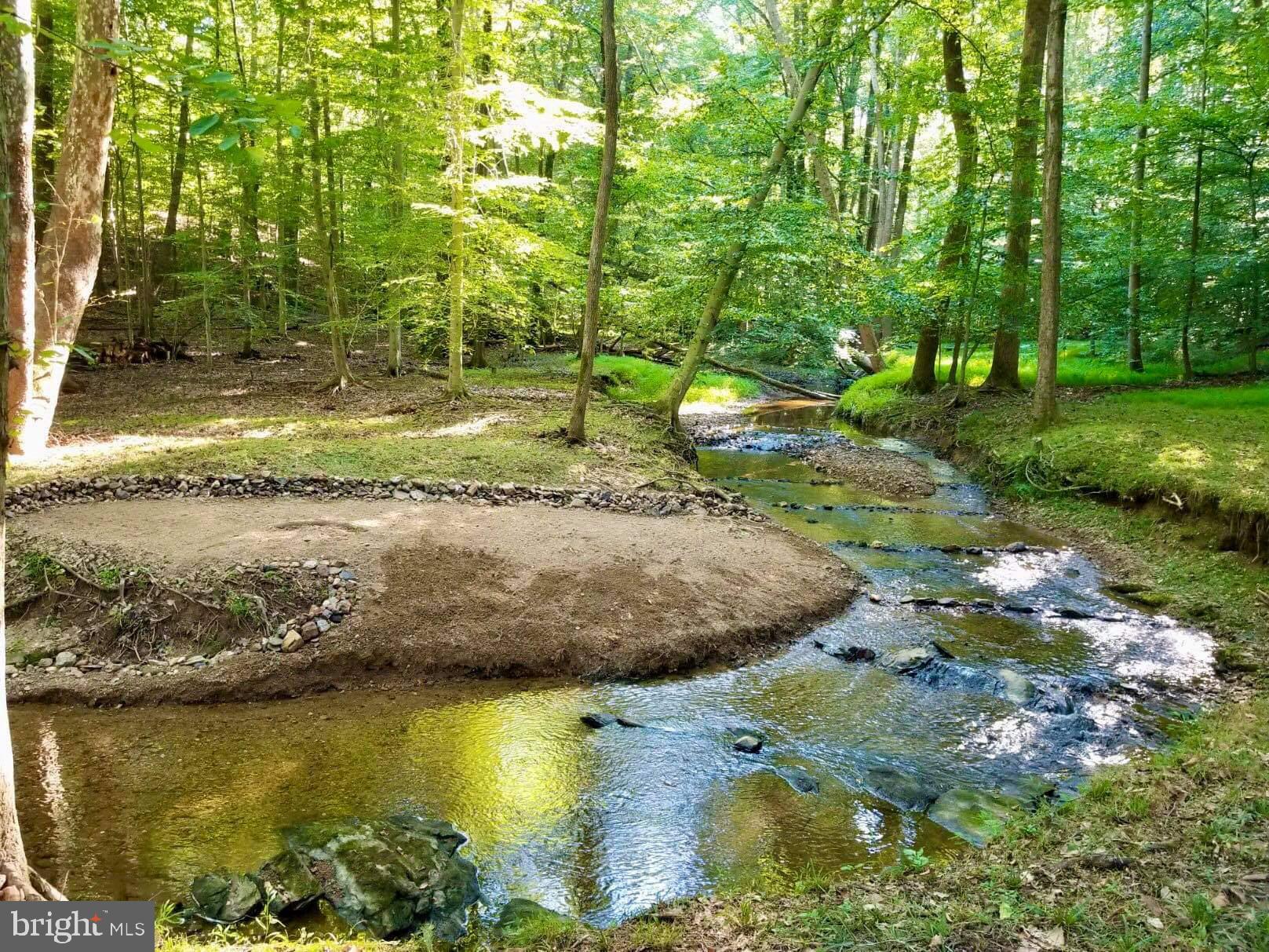 9112 Potomac Ridge Road Great Falls, VA 22066 - Photo 13 of 29 a view of a yard with a house