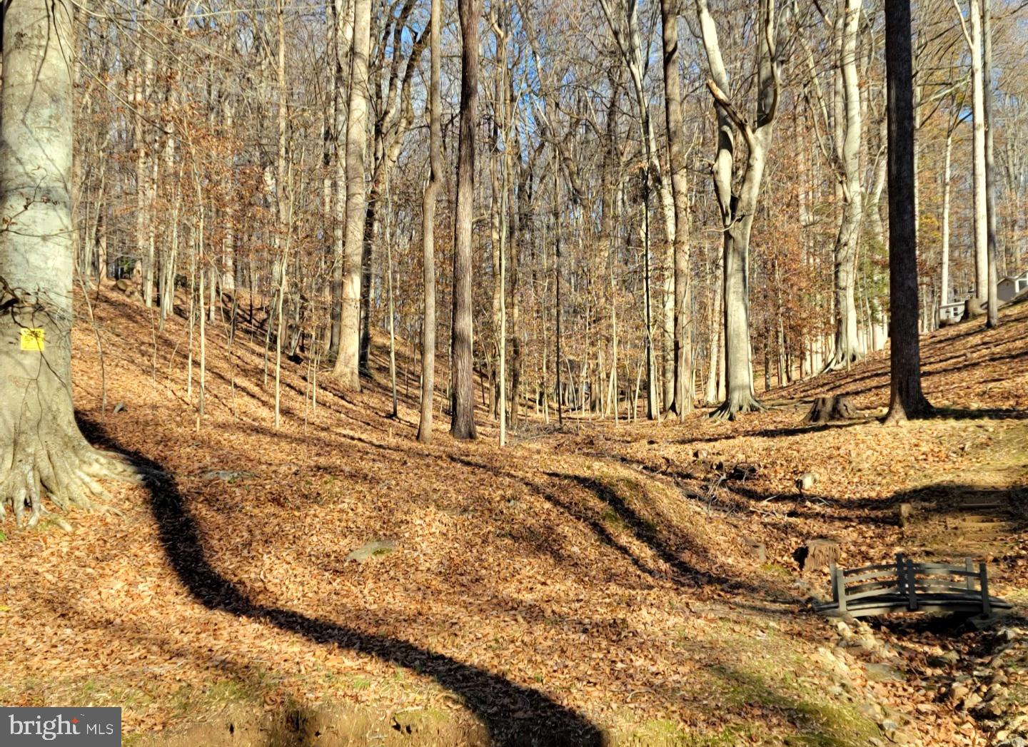9112 Potomac Ridge Road Great Falls, VA 22066 - Photo 28 of 29 a view of under construction area
