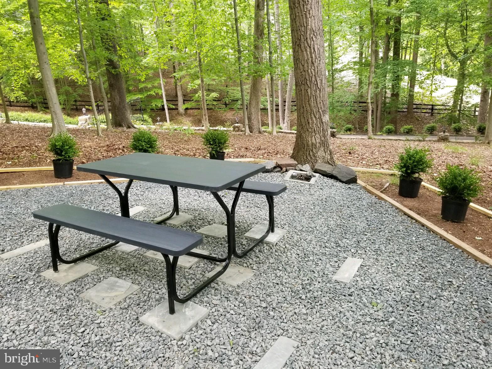 9112 Potomac Ridge Road Great Falls, VA 22066 - Photo 4 of 29 a view of a backyard with sitting area