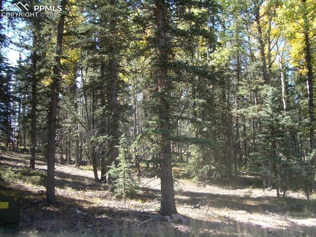 Undisclosed Address Divide, CO 80814 - Photo 2 of 4 a view of a yard with trees
