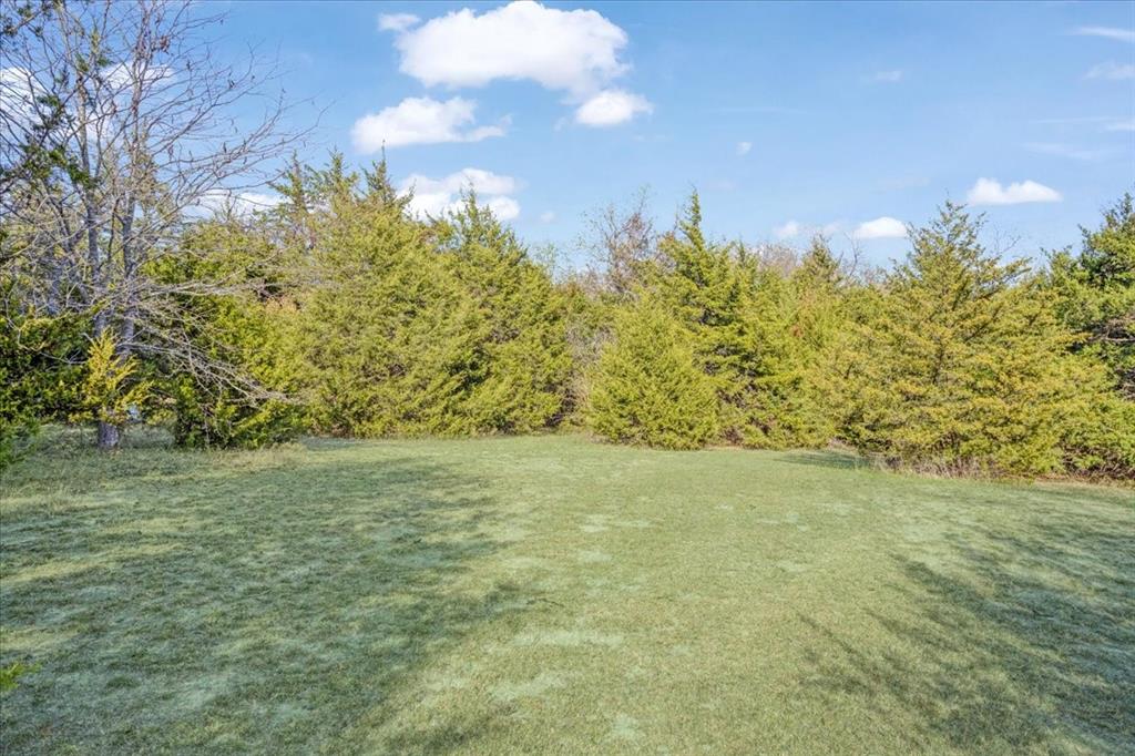 567 Celtic Road Howe, TX 75459 - Photo 27 of 40 a view of a yard with an tree