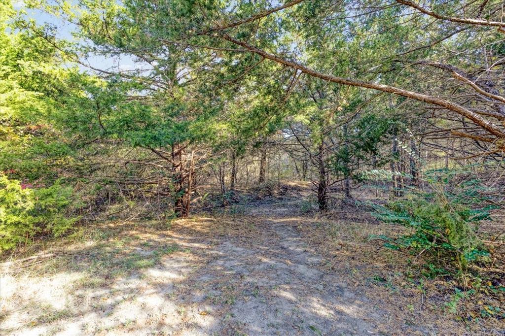 567 Celtic Road Howe, TX 75459 - Photo 28 of 40 a view of a forest with trees in the background
