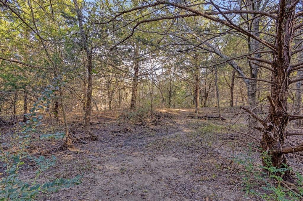 567 Celtic Road Howe, TX 75459 - Photo 29 of 40 a view of a yard with lots of trees