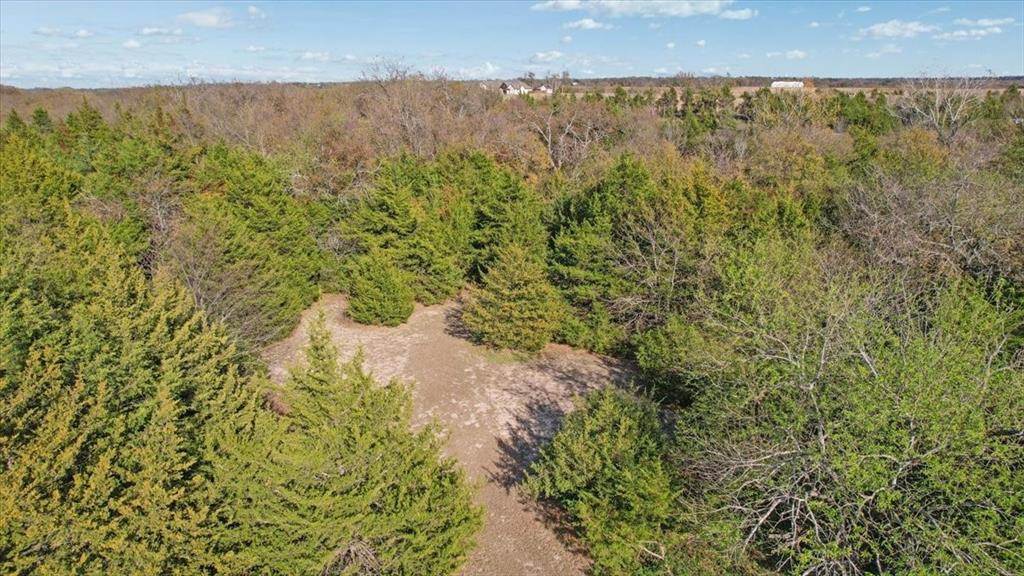 567 Celtic Road Howe, TX 75459 - Photo 36 of 40