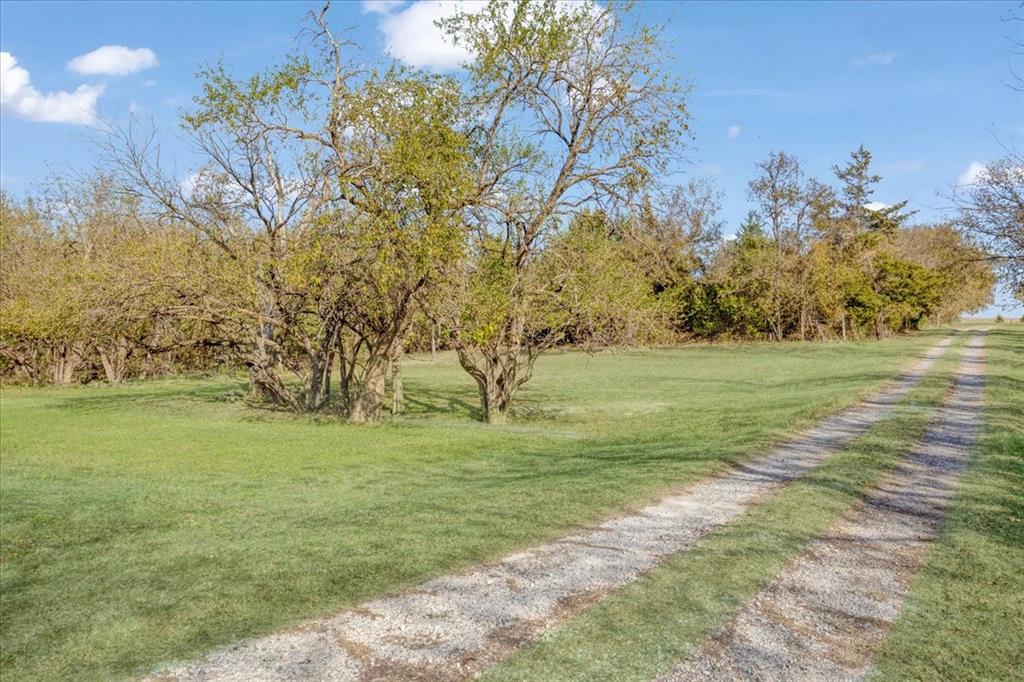 567 Celtic Road Howe, TX 75459 - Photo 10 of 40