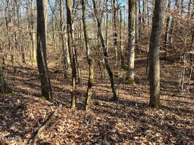 41 Athens Road Delano, TN 37325 - Photo 6 of 34