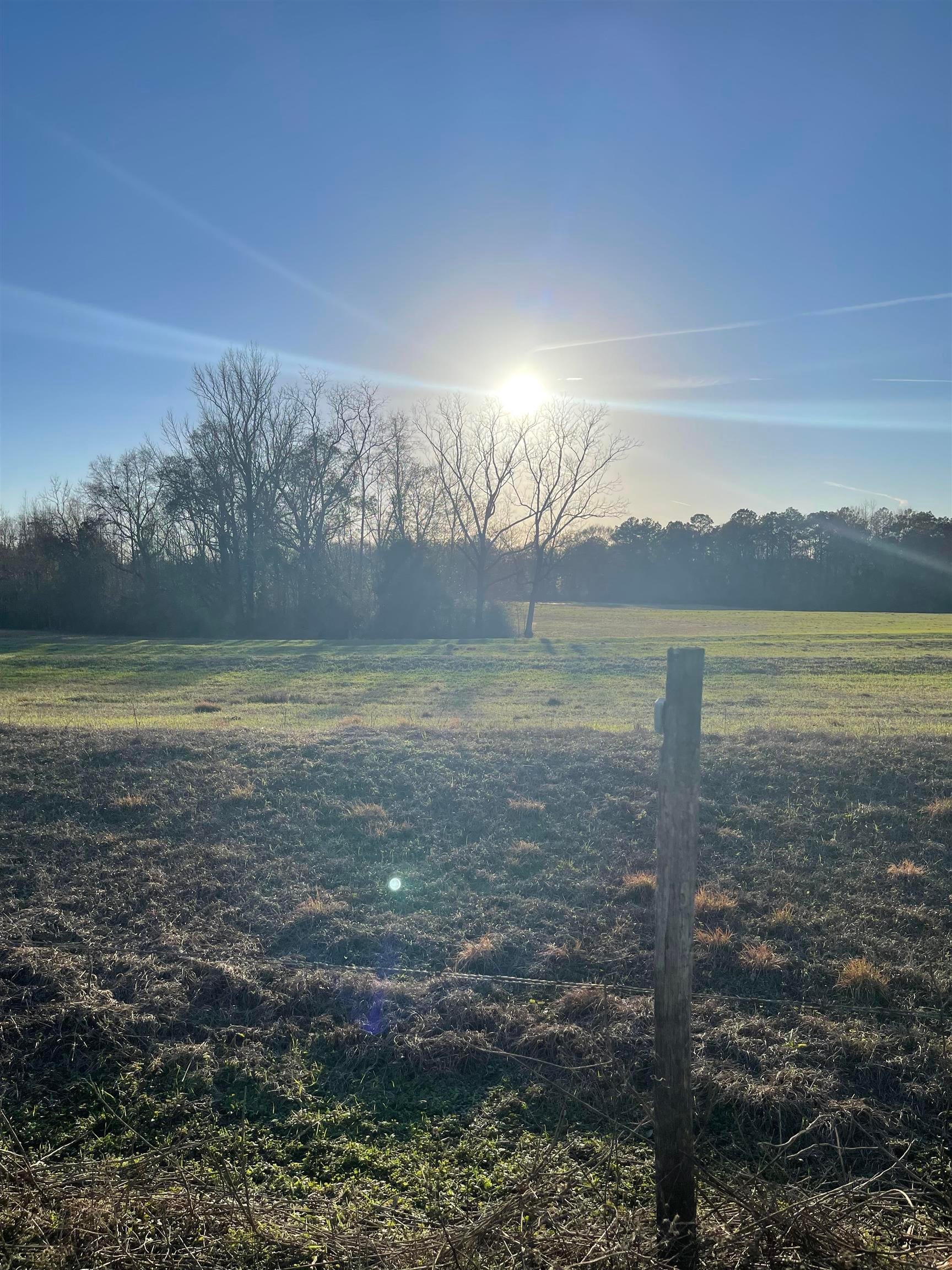 0 George Boles Road Andalusia, AL 36421 - Photo 8 of 8 Gallery Image 8