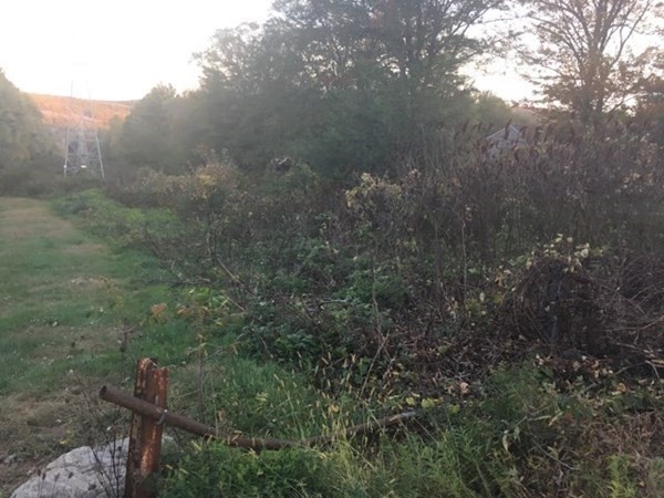 51 Old Gilbertville Road Ware, MA 01082 - Photo 8 of 9