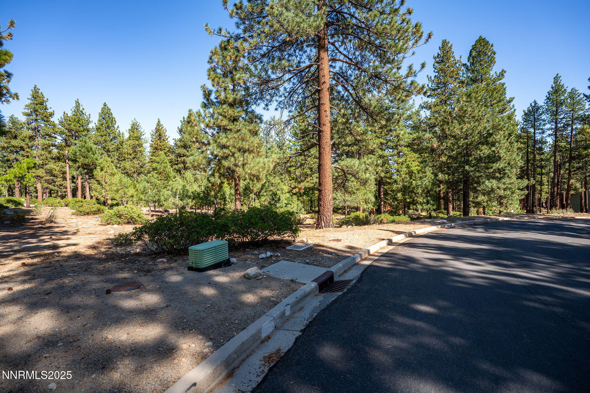 293 East Jeffrey Pine Road Reno, NV 89511 - Photo 5 of 13 1-web-or-mls-_DSC3306