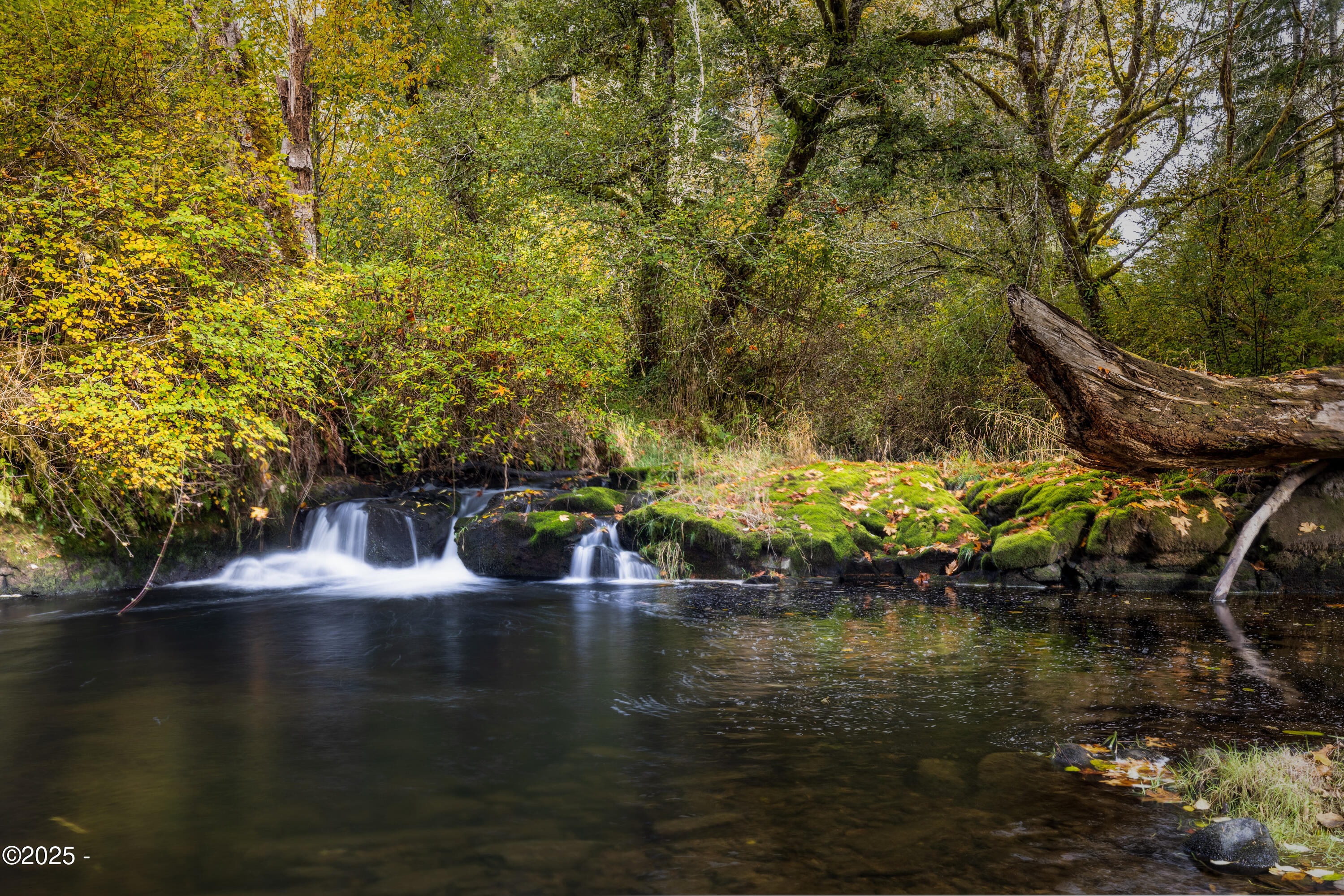 563 Moonshine Park Road Logsden, OR 97357 - Photo 5 of 60 Private Water Fall