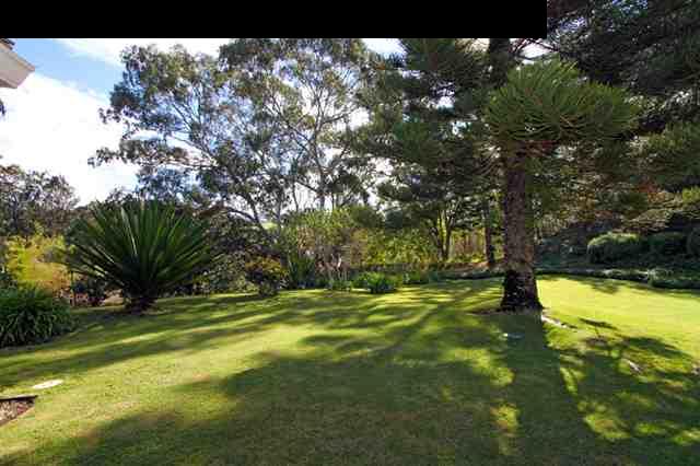 1365 Lower Kula Road Kula, HI 96790 - Photo 13 of 30 a view of a yard with a tree