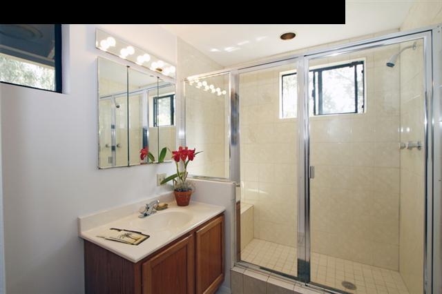 1365 Lower Kula Road Kula, HI 96790 - Photo 18 of 30 a bathroom with a sink mirror and a shower