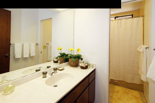 1365 Lower Kula Road Kula, HI 96790 - Photo 20 of 30 a bathroom with a sink and a mirror