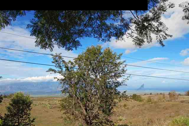 1365 Lower Kula Road Kula, HI 96790 - Photo 24 of 30 a view of a yard with wooden fence