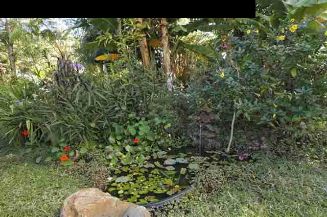 1365 Lower Kula Road Kula, HI 96790 - Photo 30 of 30 a backyard of a house with lots of green space