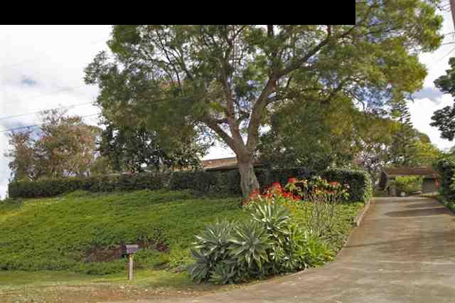 1365 Lower Kula Road Kula, HI 96790 - Photo 3 of 30 a view of a garden with a tree