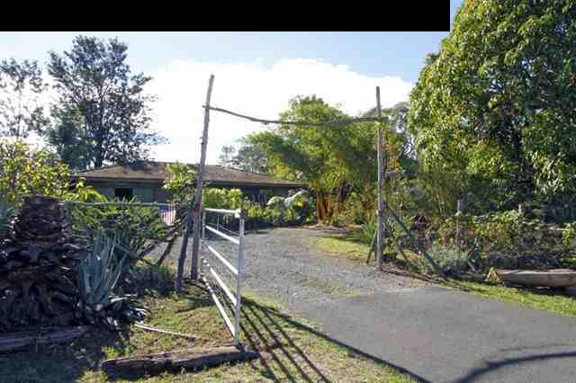 1365 Lower Kula Road Kula, HI 96790 - Photo 7 of 30 a view of a backyard with plants