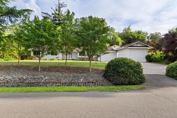 a backyard of a house with a garden and plants