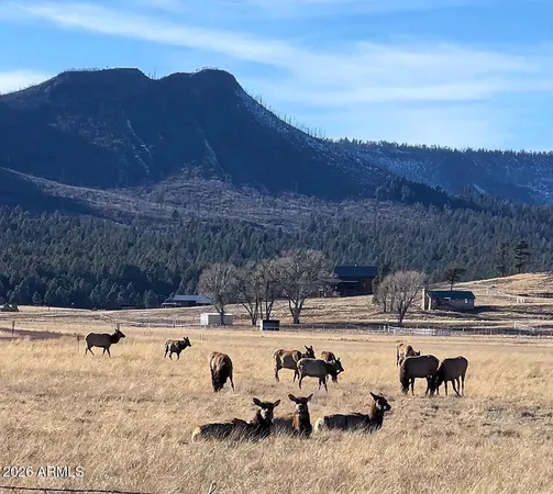 $749,900 | 3 County Road, Alpine, AZ 85920