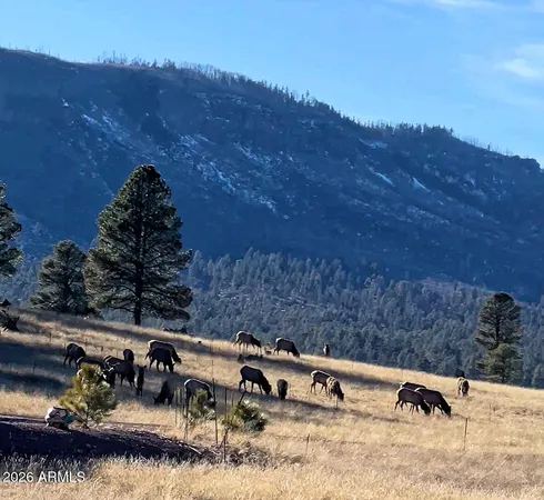 $749,900 | 3 County Road, Alpine, AZ 85920