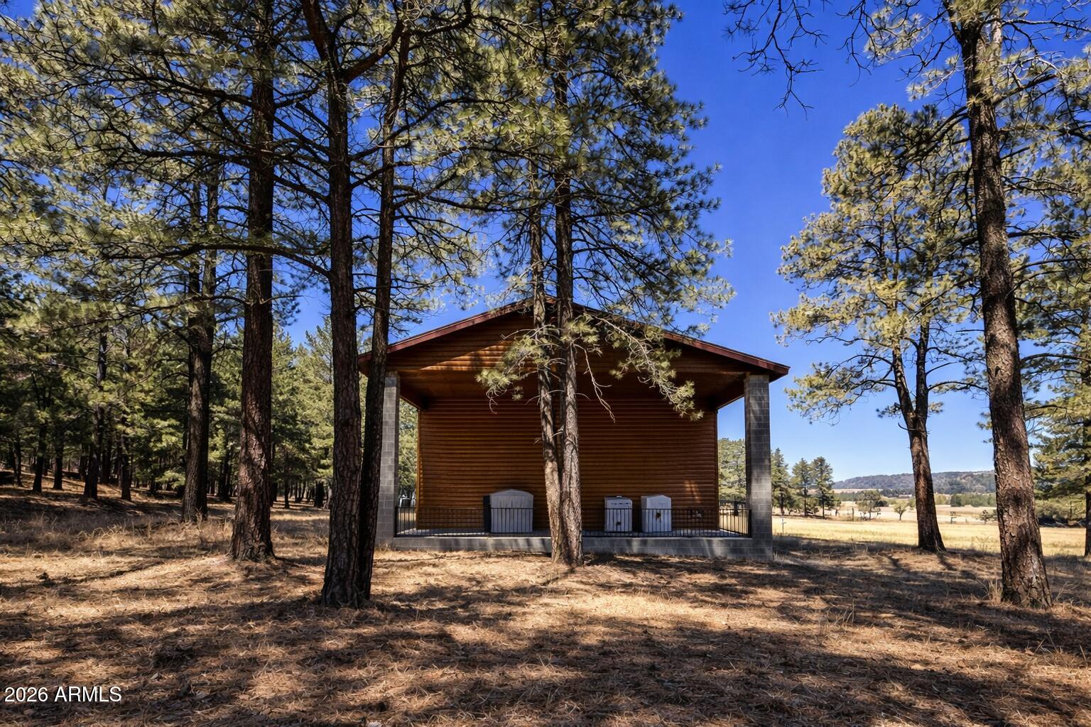 3 County Road Alpine, AZ 85920 - Photo 9 of 39 Wooden storage shed in forested landscap