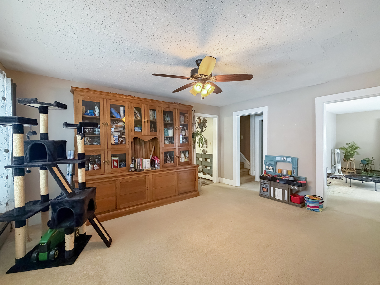 23633 Carroll Road Lanark, IL 61046 - Photo 14 of 46