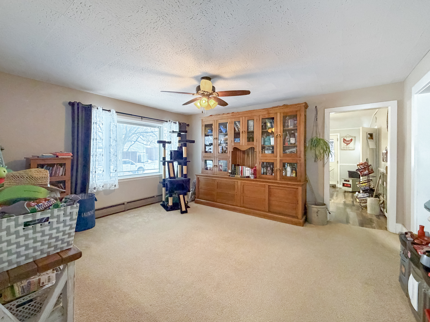 23633 Carroll Road Lanark, IL 61046 - Photo 18 of 46