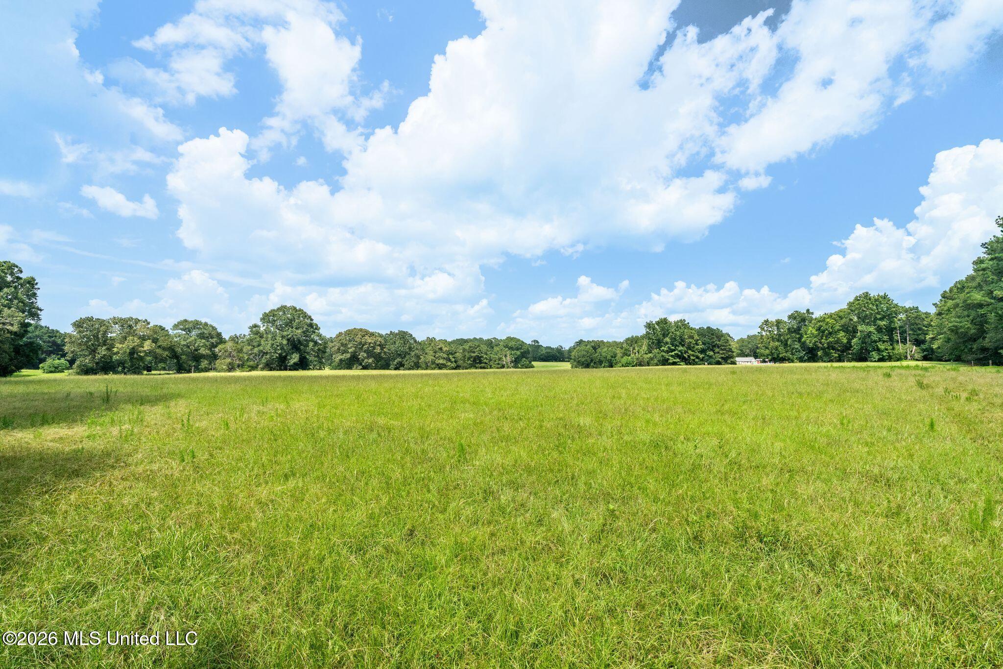 2111 Old Brookhaven Road Summit, MS 39666 - Photo 72 of 102 2111_Old_Brookhaven_Rd-96