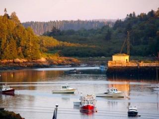 5 Walters Road Stonington, ME 04681 - Photo 1 of 33 The Harbor across the street
